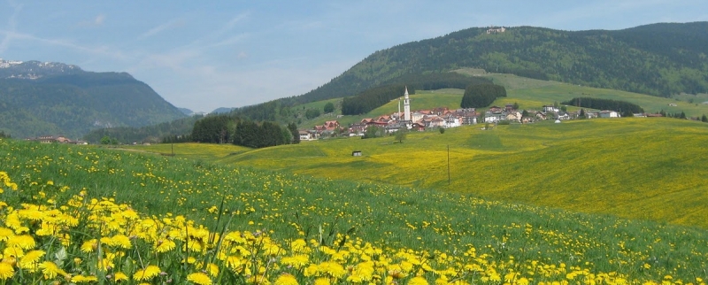 Lo Scoiattolo Montagna